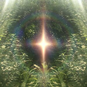 grace-nickel1 avatar