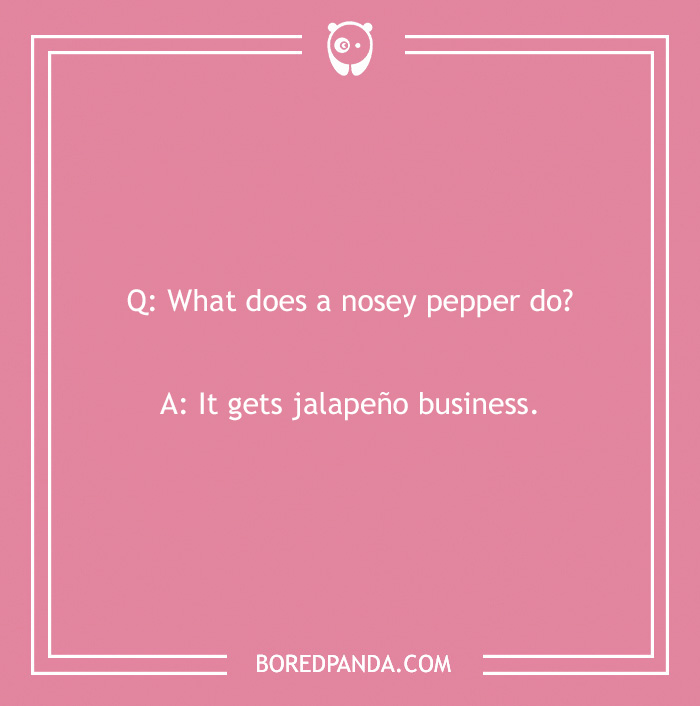 Clean joke with punchline about a nosey pepper getting jalapeño business on a pink background. - 11