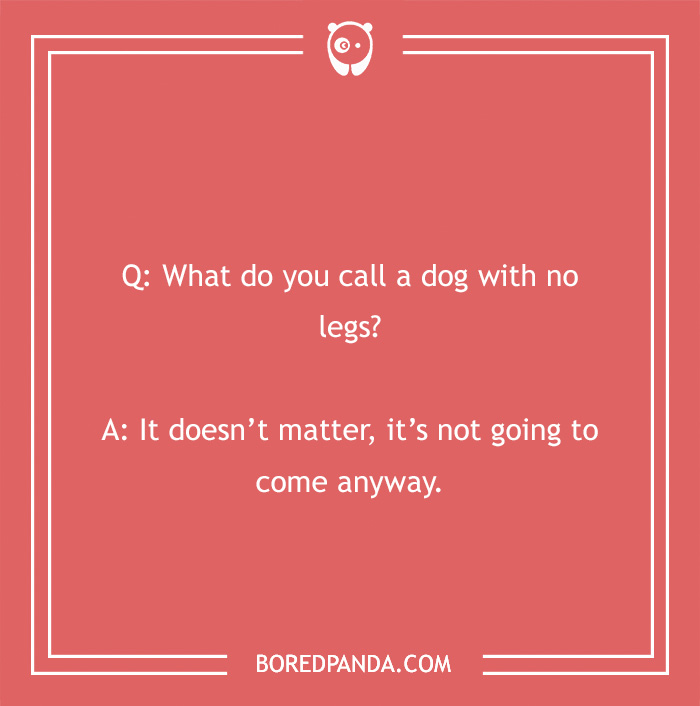 A clean joke about a dog with no legs on a red background from Bored Panda. - 9