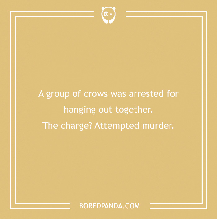 Pun about crows and attempted m****r, part of clean jokes collection. - 32