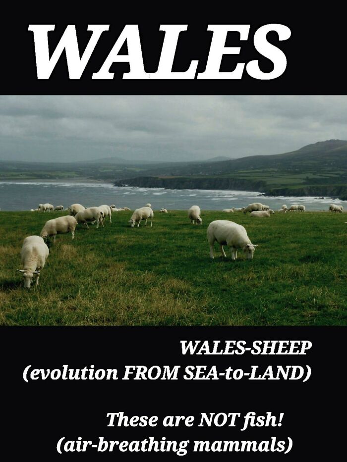 Funny-Science-Humor-Jokes