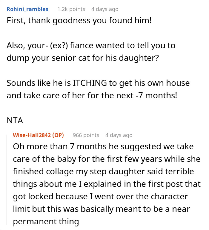 Woman Chooses Her Elderly Cat Over Fianc&eacute; And His Pregnant Daughter, Gets Full Support Online