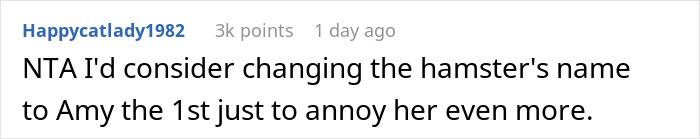 Parent Won&rsquo;t Make Son Change Hamster's Name Which SIL Wants For Her Child, She Absolutely &ldquo;Blows Up&rdquo;