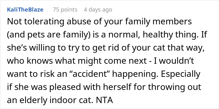 Woman Chooses Her Elderly Cat Over Fianc&eacute; And His Pregnant Daughter, Gets Full Support Online