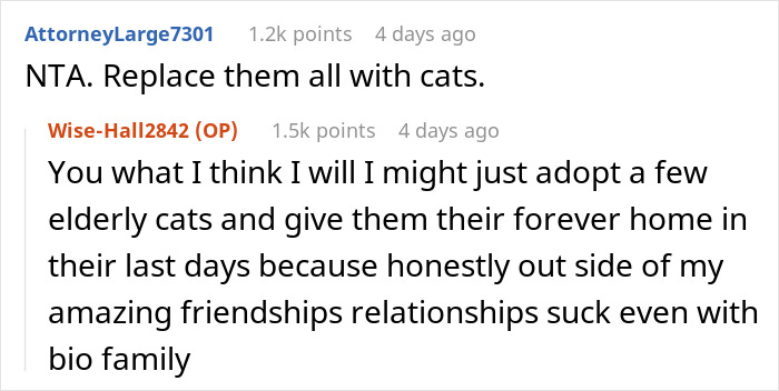 Woman Chooses Her Elderly Cat Over Fianc&eacute; And His Pregnant Daughter, Gets Full Support Online