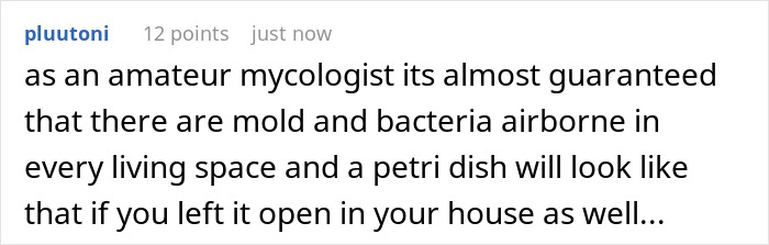 Airbnb Guest Tests Air Quality Due To Mold Smell As The Host Denied The Issue, Gets Alarming Results