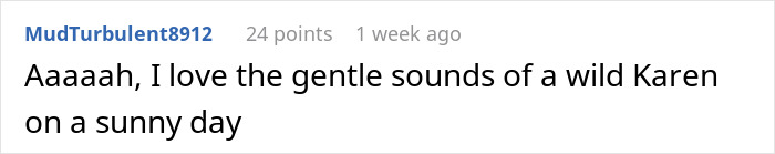 &ldquo;Entitled Parent Wants To Clear A Kids&rsquo; Park To Do A Photoshoot&rdquo;