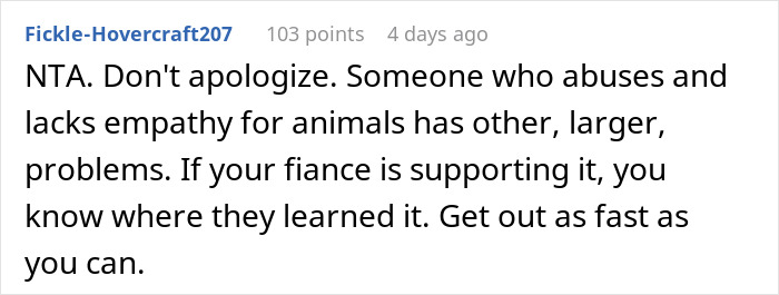 Woman Chooses Her Elderly Cat Over Fianc&eacute; And His Pregnant Daughter, Gets Full Support Online