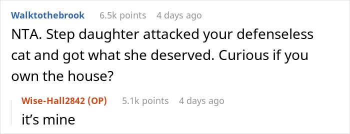 Woman Chooses Her Elderly Cat Over Fianc&eacute; And His Pregnant Daughter, Gets Full Support Online