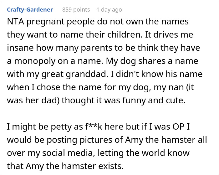 Parent Won&rsquo;t Make Son Change Hamster's Name Which SIL Wants For Her Child, She Absolutely &ldquo;Blows Up&rdquo;