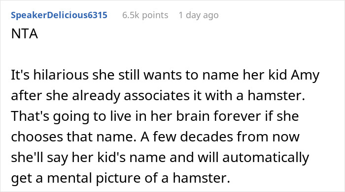 Parent Won&rsquo;t Make Son Change Hamster's Name Which SIL Wants For Her Child, She Absolutely &ldquo;Blows Up&rdquo;