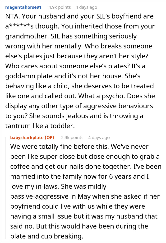 Woman Exposes ‘Clumsy’ SIL’s Secret At Dinner Table For All To See, She Leaves Sobbing Woman Exposes ‘Clumsy’ SIL’s Secret At Dinner Table For All To See, She Leaves Sobbing