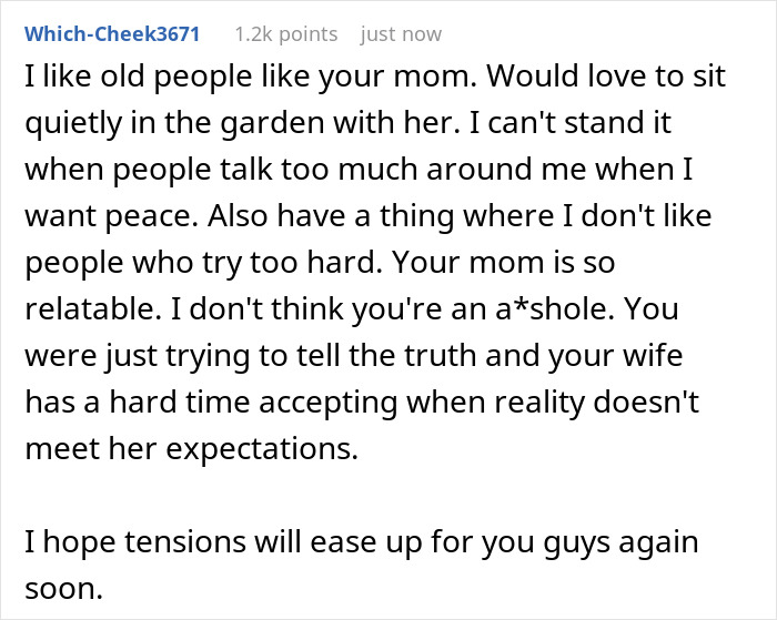 Family Drama Ensues After Wife Keeps Trying To Make MIL Like Her, Husband Tells Her She Never Will
