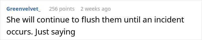 Dad Asks 19YO To Stop Flushing Tampons Down The Toilet Due To Possible Plumbing Issues, Drama Ensues Dad Asks 19YO To Stop Flushing Tampons Down The Toilet Due To Possible Plumbing Issues, Drama Ensues