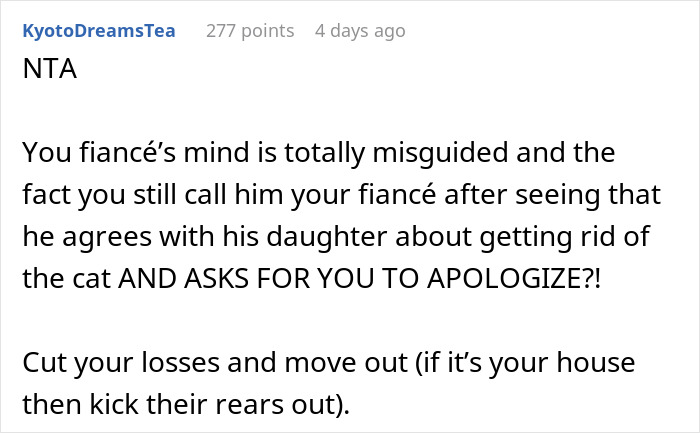 Woman Chooses Her Elderly Cat Over Fianc&eacute; And His Pregnant Daughter, Gets Full Support Online