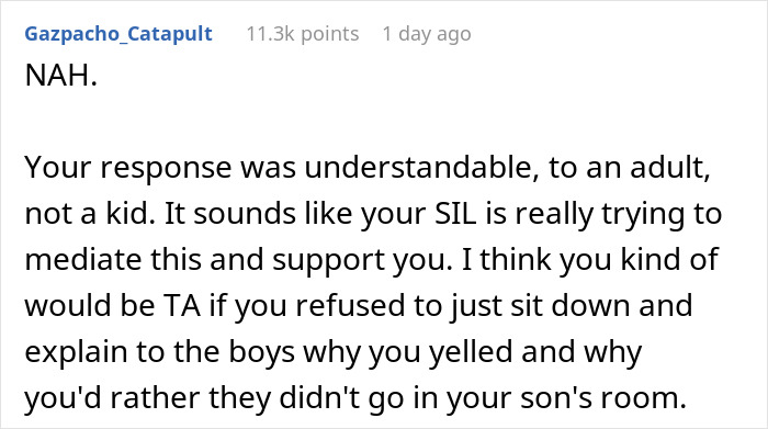 Mom Of 2 Freaks Out When Her SIL Makes Her Sons Cry For Disturbing Her Late Son&rsquo;s Room