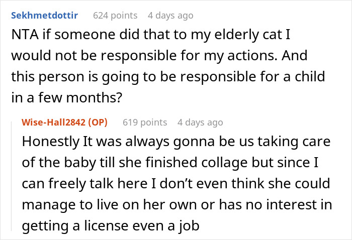 Woman Chooses Her Elderly Cat Over Fianc&eacute; And His Pregnant Daughter, Gets Full Support Online
