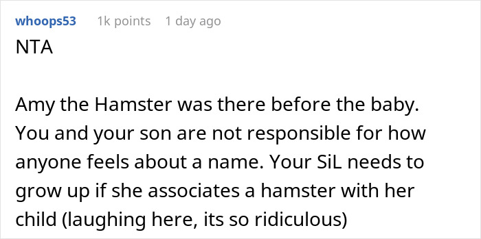 Parent Won&rsquo;t Make Son Change Hamster's Name Which SIL Wants For Her Child, She Absolutely &ldquo;Blows Up&rdquo;