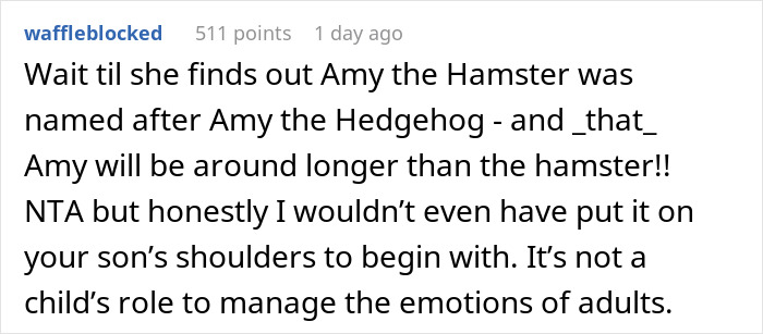 Parent Won&rsquo;t Make Son Change Hamster's Name Which SIL Wants For Her Child, She Absolutely &ldquo;Blows Up&rdquo;