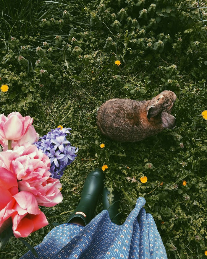 Van Life In And Around Seattle