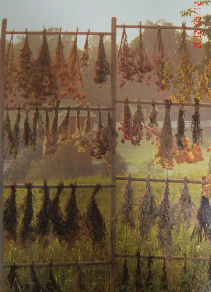 Preserving And Drying Flowers Can Make A Fleeting Blossom Last For Many Years To Come