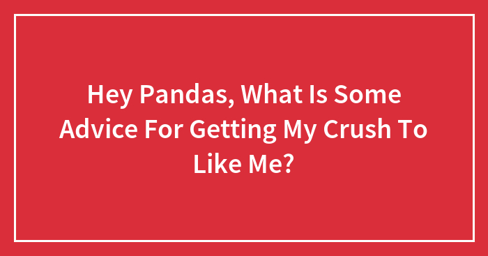 Hey Pandas, What Is Some Advice For Getting My Crush To Like Me?