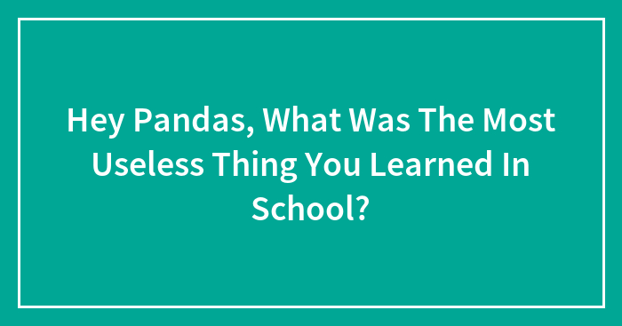 Hey Pandas, What Was The Most Useless Thing You Learned In School?