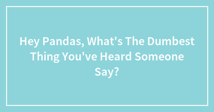 Hey Pandas, What’s The Dumbest Thing You’ve Heard Someone Say?