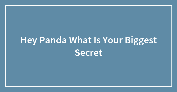 Hey Panda What Is Your Biggest Secret