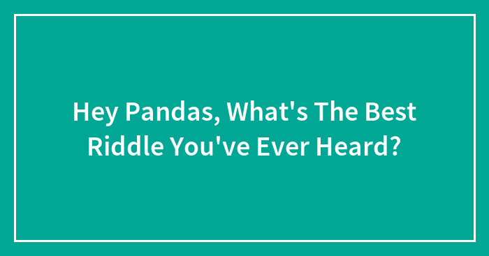 Hey Pandas, What’s The Best Riddle You’ve Ever Heard?
