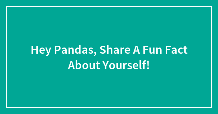 Hey Pandas, Share A Fun Fact About Yourself!