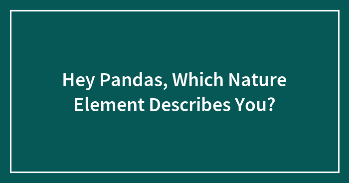 Hey Pandas, Which Nature Element Describes You?