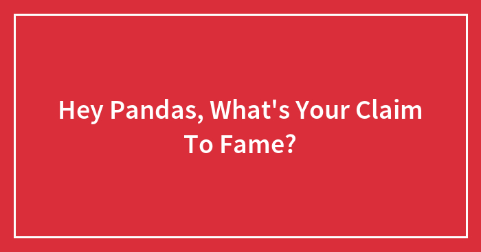Hey Pandas, What’s Your Claim To Fame?