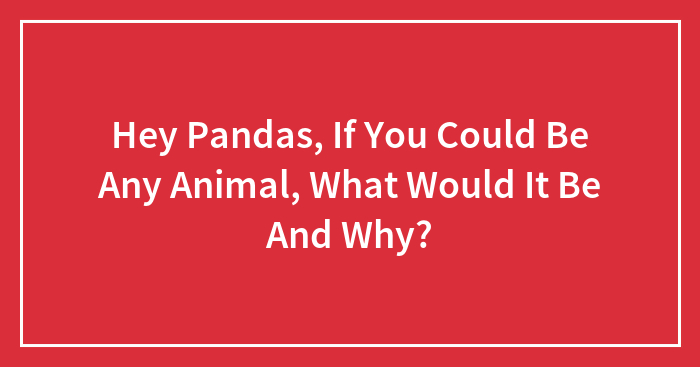 Hey Pandas, If You Could Be Any Animal, What Would It Be And Why?