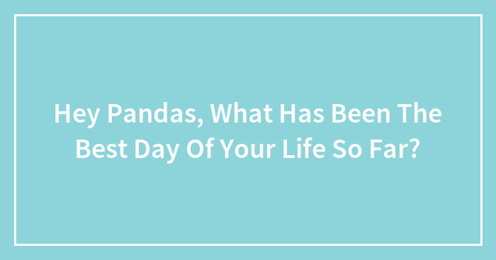 Hey Pandas, What Has Been The Best Day Of Your Life So Far?