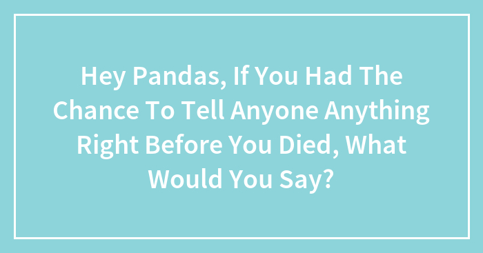 Hey Pandas, If You Had The Chance To Tell Anyone Anything Right Before You Died, What Would You Say?