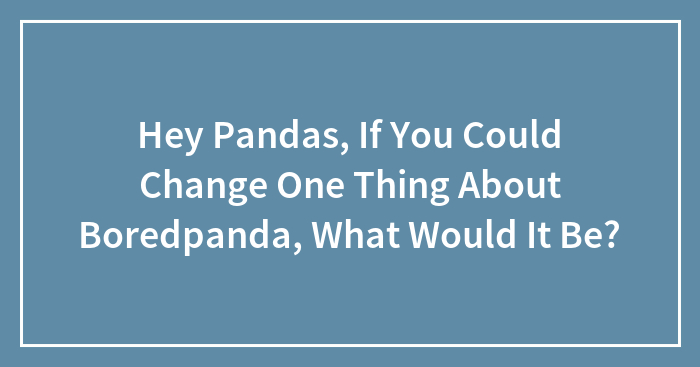 Hey Pandas, If You Could Change One Thing About Boredpanda, What Would It Be?