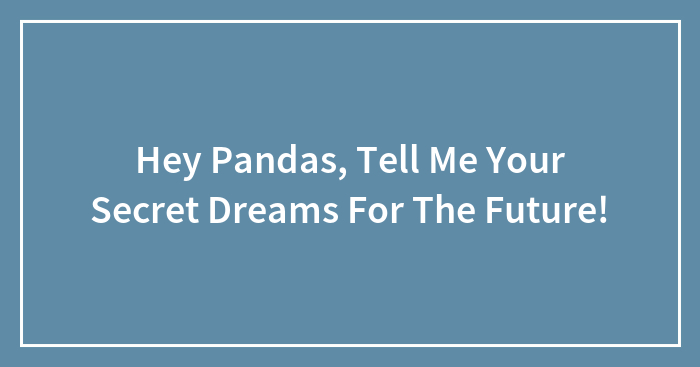 Hey Pandas, Tell Me Your Secret Dreams For The Future!