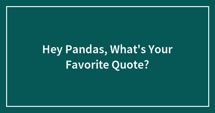 Hey Pandas, What’s Your Favorite Quote?