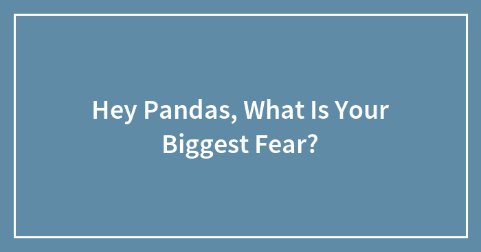 Hey Pandas, What Is Your Biggest Fear?