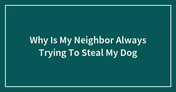 Why Is My Neighbor Always Trying To Steal My Dog