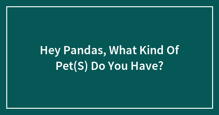 Hey Pandas, What Kind Of Pet(S) Do You Have?