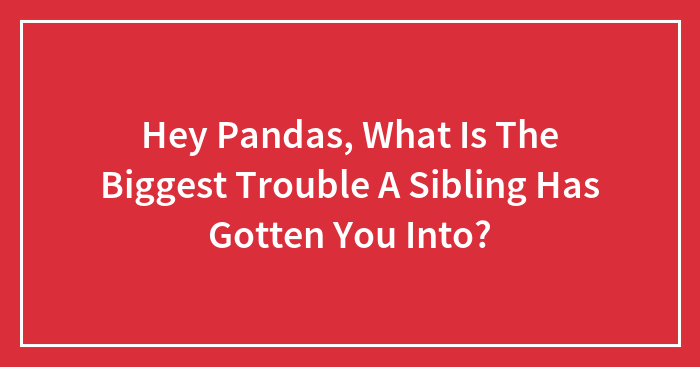 Hey Pandas, What Is The Biggest Trouble A Sibling Has Gotten You Into? (Closed)