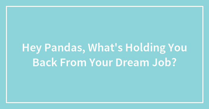 Hey Pandas, What’s Holding You Back From Your Dream Job? (Closed)