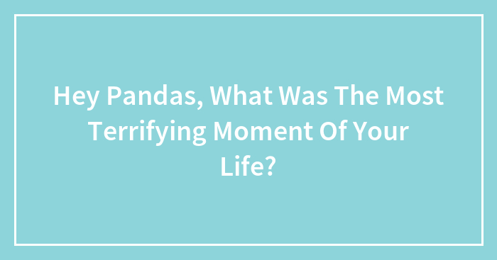 Hey Pandas, What Was The Most Terrifying Moment Of Your Life?