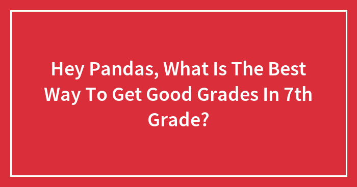 Hey Pandas, What Is The Best Way To Get Good Grades In 7th Grade?
