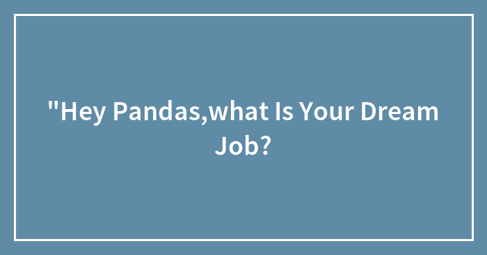 “Hey Pandas,what Is Your Dream Job?