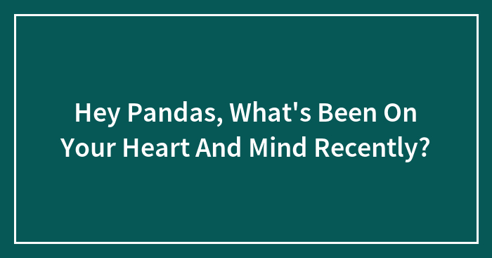 Hey Pandas, What’s Been On Your Heart And Mind Recently?