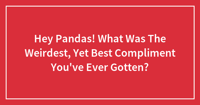 Hey Pandas! What Was The Weirdest, Yet Best Compliment You’ve Ever Gotten?