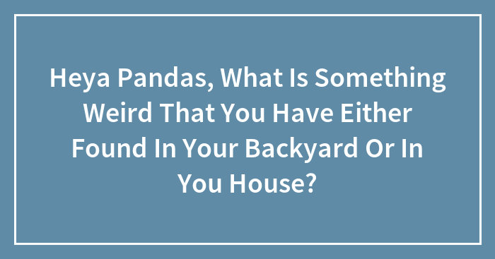 Heya Pandas, What Is Something Weird That You Have Either Found In Your Backyard Or In You House?